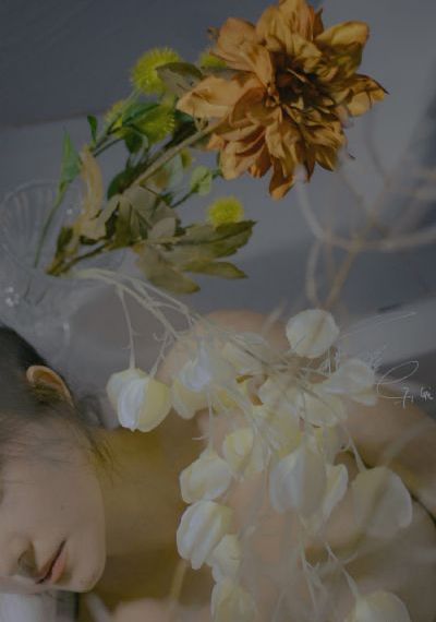 没有工作的一年电视剧
