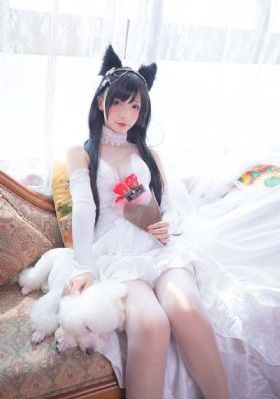 再见箱舟